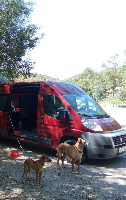 CAMPERNOSOTROS