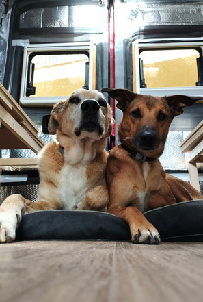 CAMPERNOSOTROS2